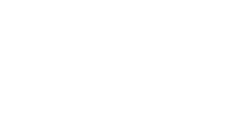 zydus